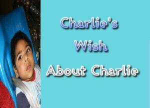 Charlie's Wish coming January 2009